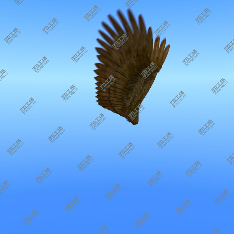 images/goods_img/2021040234/3D Wings model/2.jpg